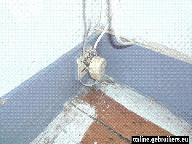 foto.gif